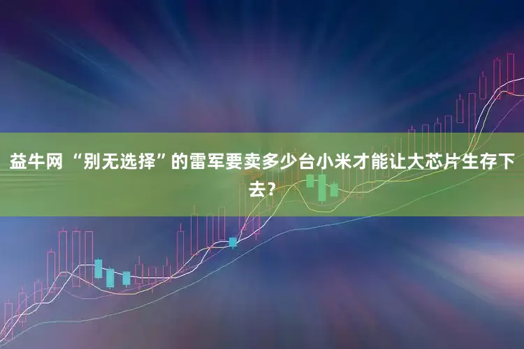 益牛网 “别无选择”的雷军要卖多少台小米才能让大芯片生存下去？