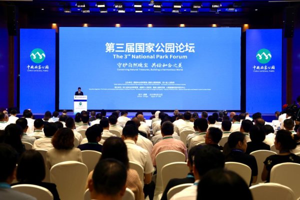 巨牛盈 国家公园体系持续完善 四川大熊猫野外监测年遇见数升至185只